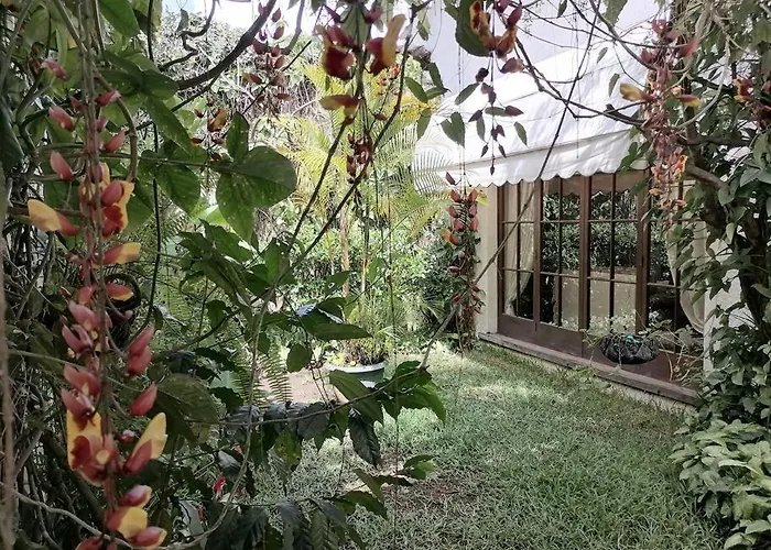 La Casa De La Abuela