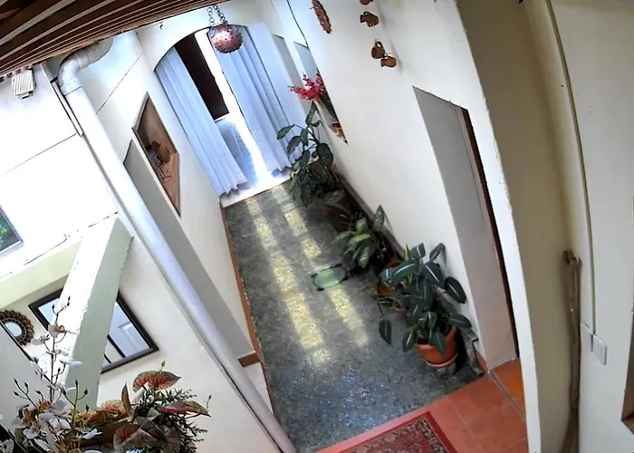 Casa Familiar Los Gringas